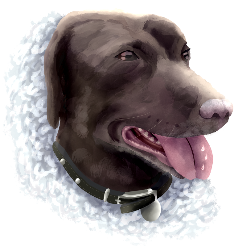 A painting of my brother's girlfriend's dog, buster. He is facing to the right. I'm not sure what species he is but I think he's closest to a Labrador. He has a long nose, floppy ears, and is brown in colour. He has his tongue hanging out. He also has a black collar around his neck, adorned with silver studs. The design also has sea foam surrounding the back of his head and collar, up to his tongue.