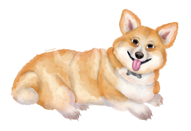 A digital painting of Laura's corgi, Dylan. It is a mix of realism and carton. He is lying down with his head up and a smile on his face. His fur is mostly orange, but he also has white fur on his face, nose, feet, and front. His tail also has a patch on white on the end, like a fox. There is also a silver dog tag around his neck, shaped like a bone.